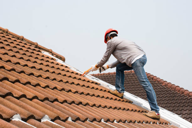 Best Roof Coating and Sealing  in Grass Lake, MI