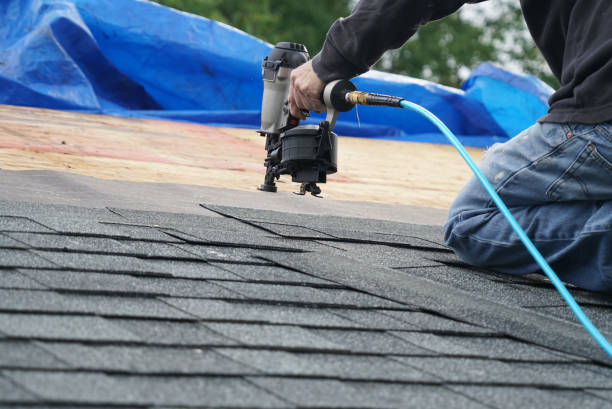 Best Rubber Roofing (EPDM, TPO)  in Grass Lake, MI